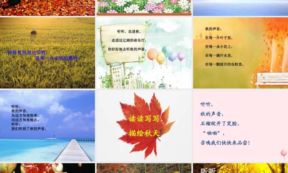 三年级语文上册 第三单元 12《听听，秋的声音》课件2 鲁教版-鲁教版小学三年级上册语文课件