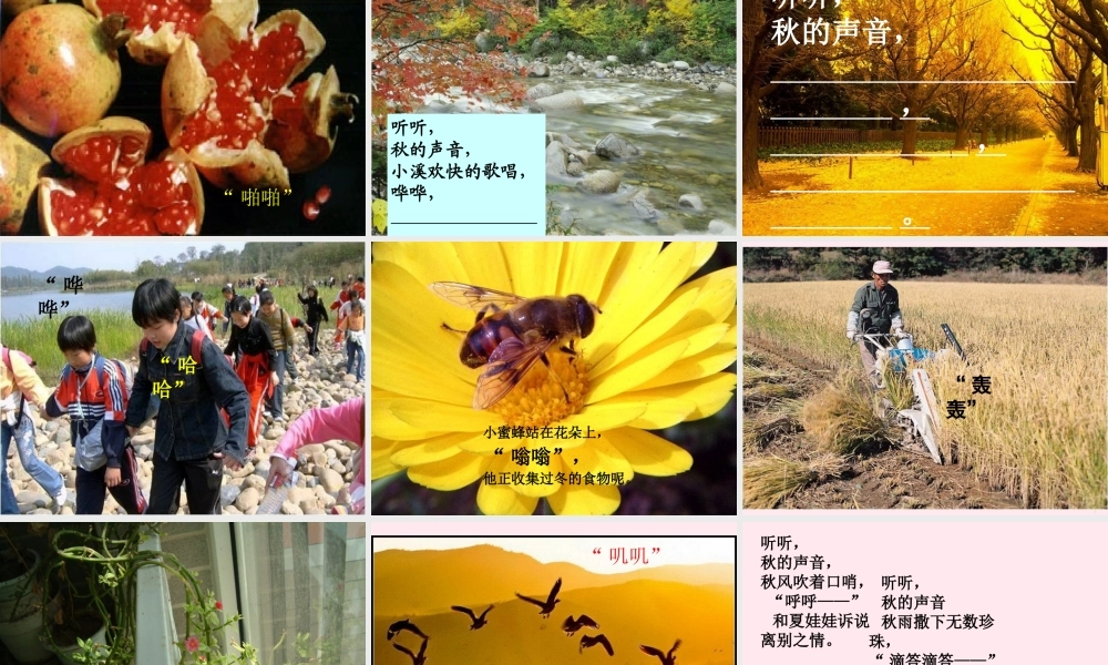 三年级语文上册 第三单元 12《听听，秋的声音》课件2 鲁教版-鲁教版小学三年级上册语文课件