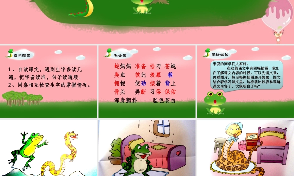 三年级语文上册 第六单元 青蛙和蛇课件4 鄂教版-鄂教版小学三年级上册语文课件