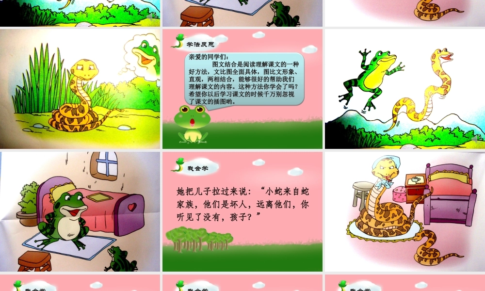 三年级语文上册 第六单元 青蛙和蛇课件4 鄂教版-鄂教版小学三年级上册语文课件