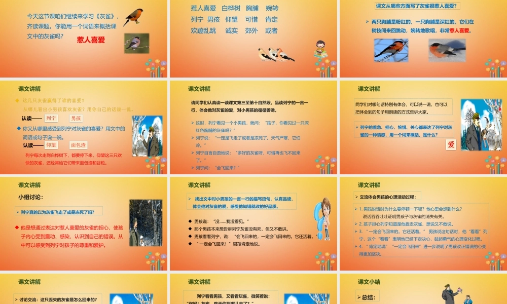 三年级语文上册 第八单元 26《灰雀》（第2课时）课件 新人教版-新人教版小学三年级上册语文课件