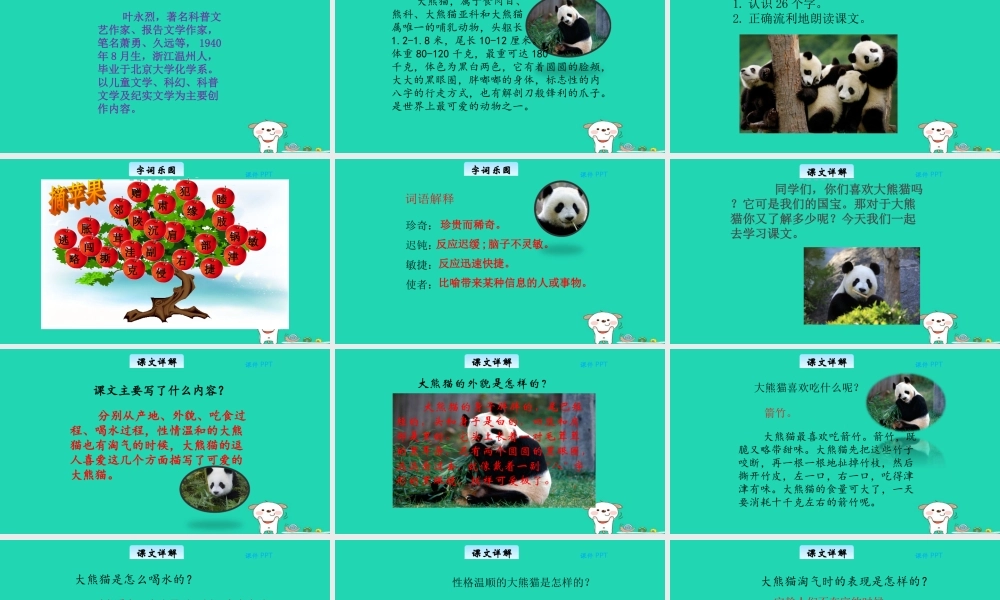 三年级语文上册 第三单元 15大熊猫教学课件 北京版-北京版小学三年级上册语文课件
