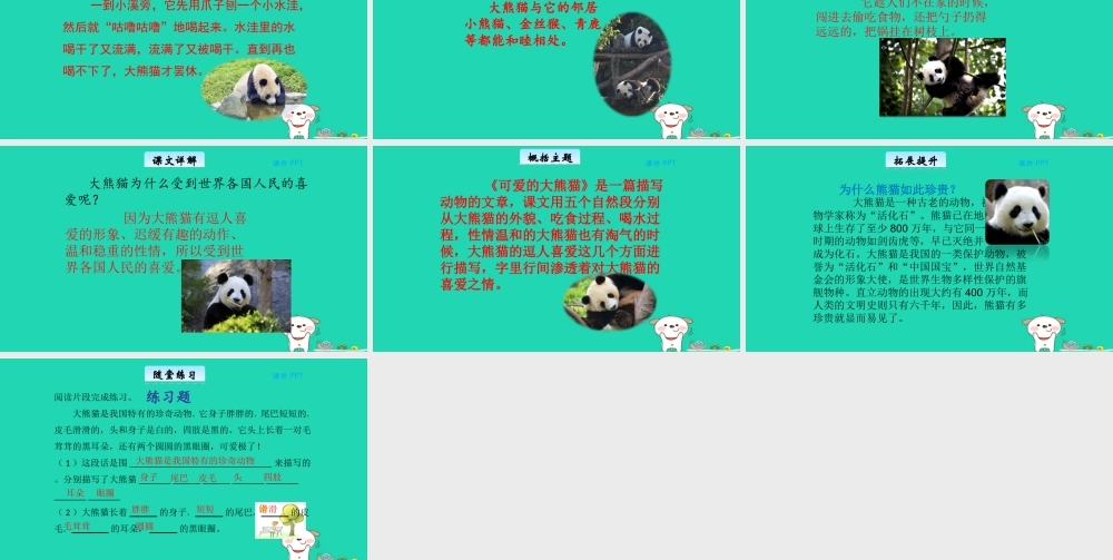 三年级语文上册 第三单元 15大熊猫教学课件 北京版-北京版小学三年级上册语文课件