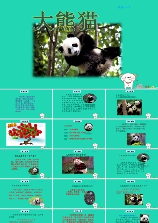 三年级语文上册 第三单元 15大熊猫教学课件 北京版-北京版小学三年级上册语文课件