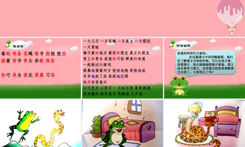 三年级语文上册 第六单元 青蛙和蛇课件5 鄂教版-鄂教版小学三年级上册语文课件