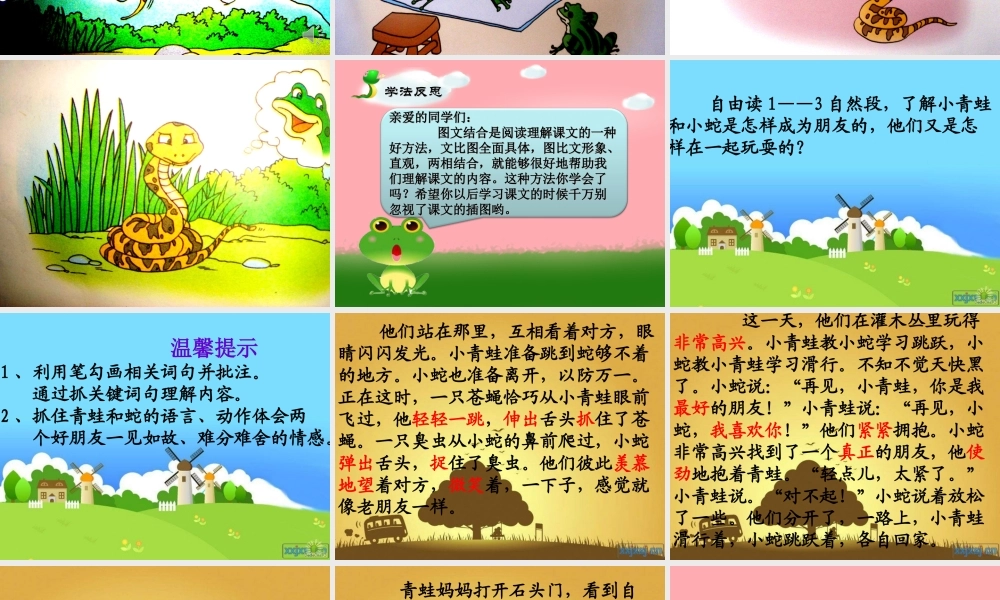 三年级语文上册 第六单元 青蛙和蛇课件5 鄂教版-鄂教版小学三年级上册语文课件