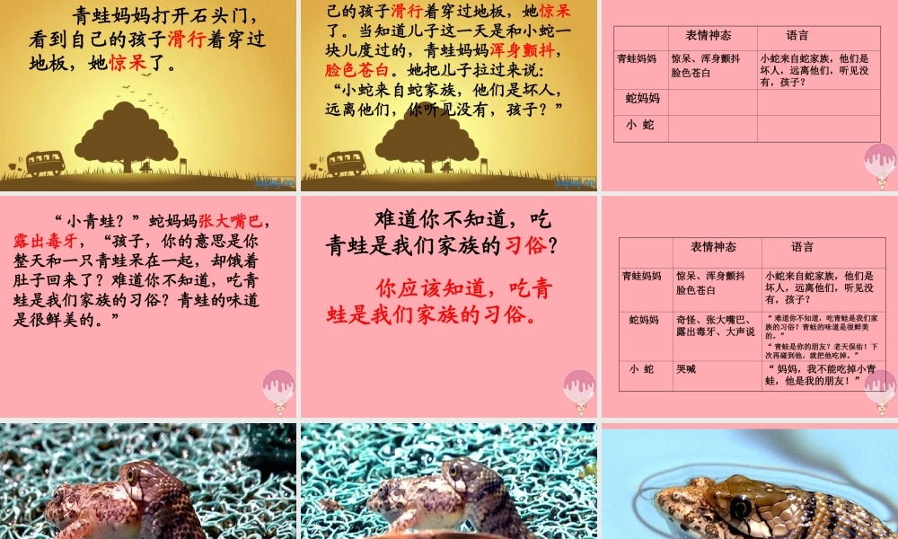 三年级语文上册 第六单元 青蛙和蛇课件5 鄂教版-鄂教版小学三年级上册语文课件