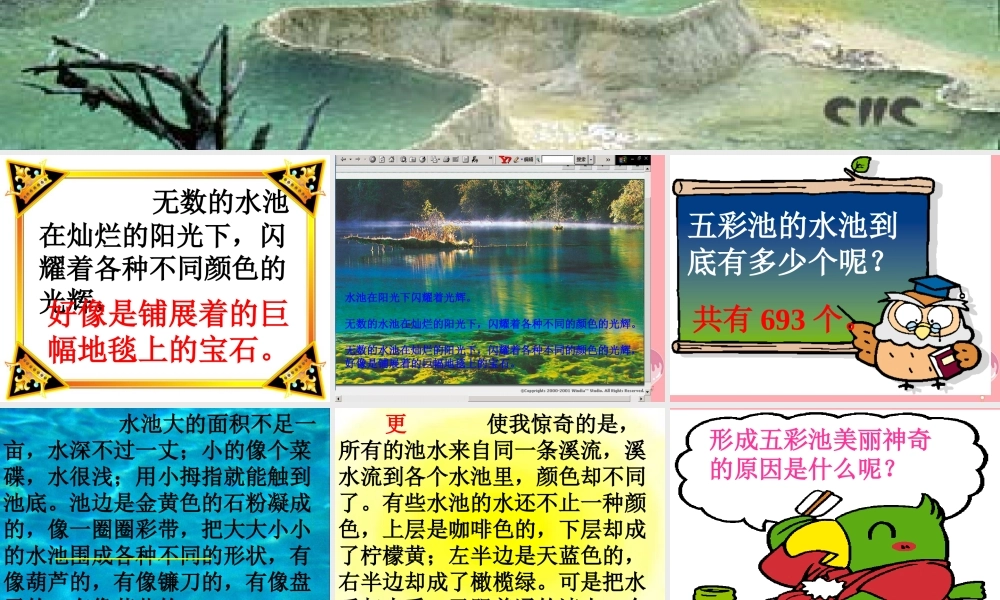 三年级语文上册 第三单元 五彩池课件3 鄂教版-鄂教版小学三年级上册语文课件