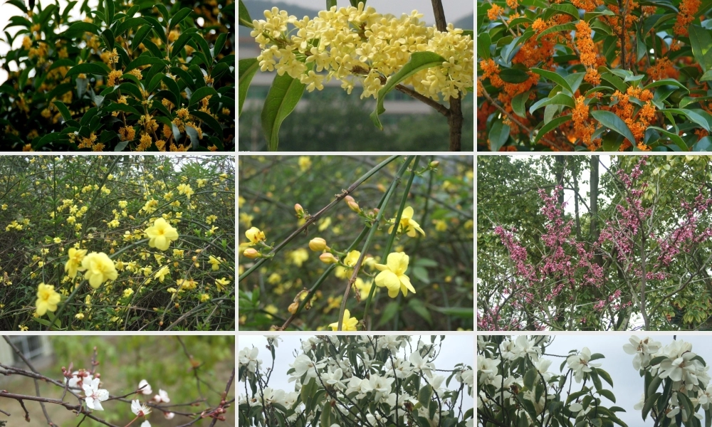 三年级语文上册 第三单元 五彩池课件4 鄂教版-鄂教版小学三年级上册语文课件