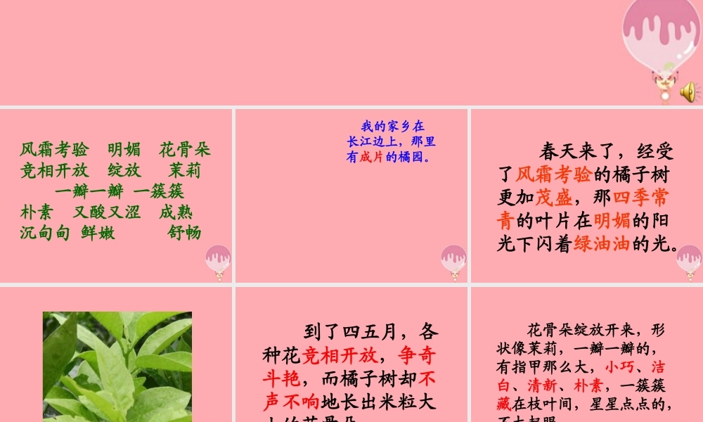 三年级语文上册 第二单元 家乡的红橘课件1 西师大版-西师大版小学三年级上册语文课件