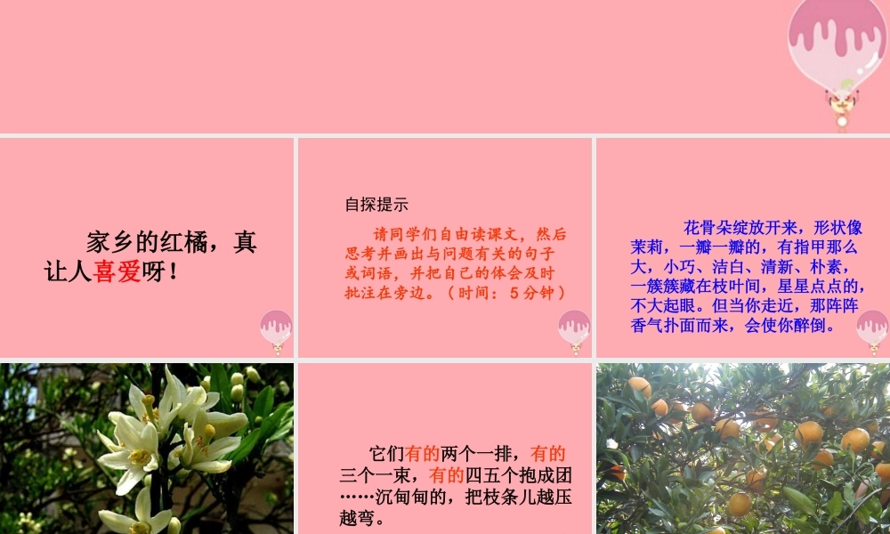 三年级语文上册 第二单元 家乡的红橘课件2 西师大版-西师大版小学三年级上册语文课件