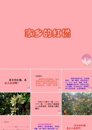 三年级语文上册 第二单元 家乡的红橘课件2 西师大版-西师大版小学三年级上册语文课件