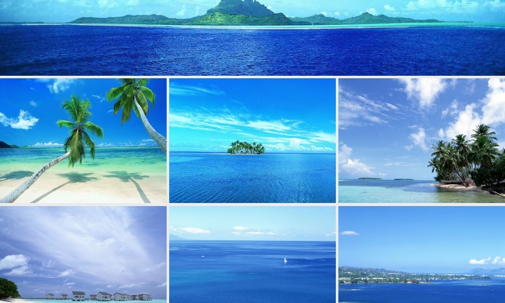 三年级语文上册 第六单元 我家门前的海课件2 长春版-长春版小学三年级上册语文课件