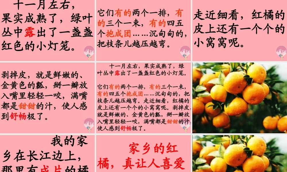 三年级语文上册 第二单元 家乡的红橘课件4 西师大版-西师大版小学三年级上册语文课件