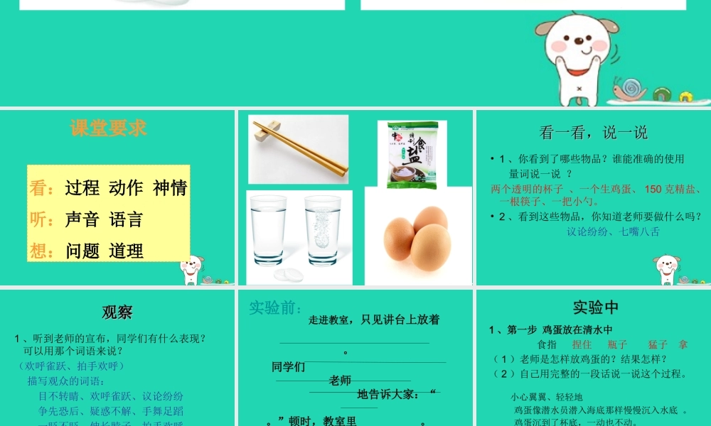 三年级语文上册 第三单元 习作《鸡蛋浮起来了》课件 湘教版-湘教版小学三年级上册语文课件