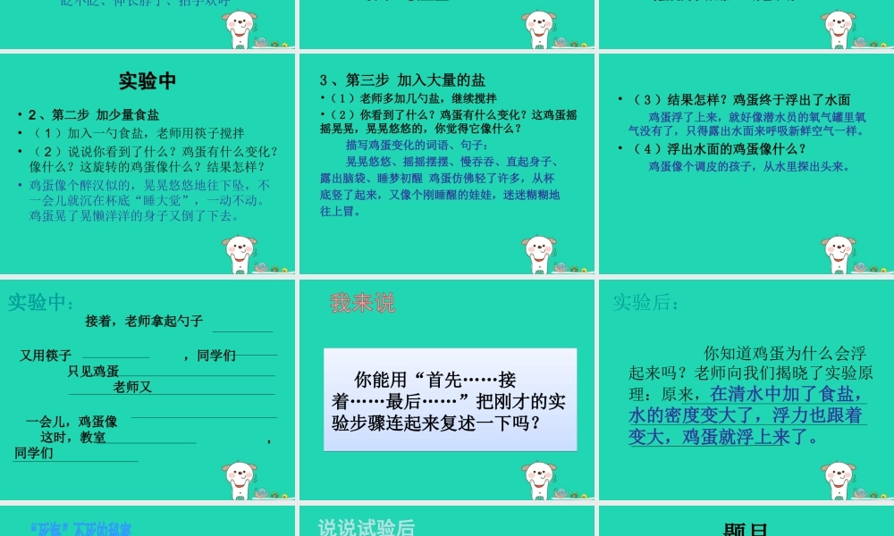 三年级语文上册 第三单元 习作《鸡蛋浮起来了》课件 湘教版-湘教版小学三年级上册语文课件