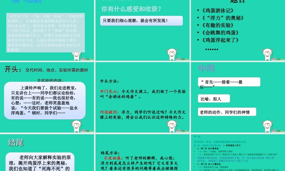 三年级语文上册 第三单元 习作《鸡蛋浮起来了》课件 湘教版-湘教版小学三年级上册语文课件