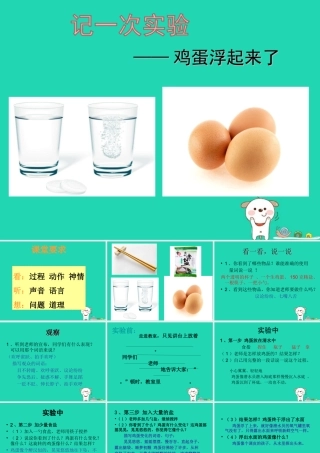 三年级语文上册 第三单元 习作《鸡蛋浮起来了》课件 湘教版-湘教版小学三年级上册语文课件