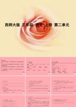 三年级语文上册 第二单元 瀑布课件4 西师大版-西师大版小学三年级上册语文课件