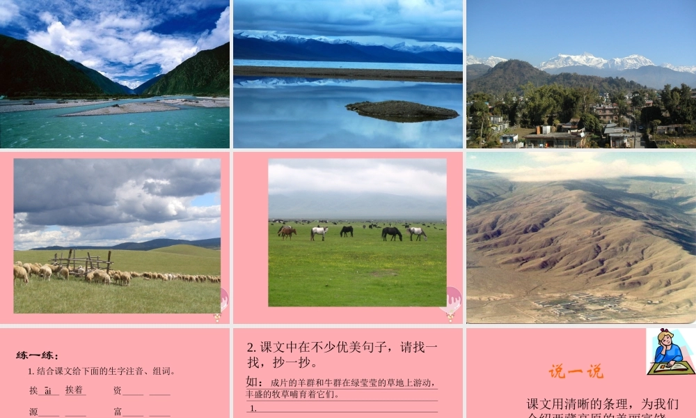 三年级语文上册 第二单元 西藏高原课件1 西师大版-西师大版小学三年级上册语文课件