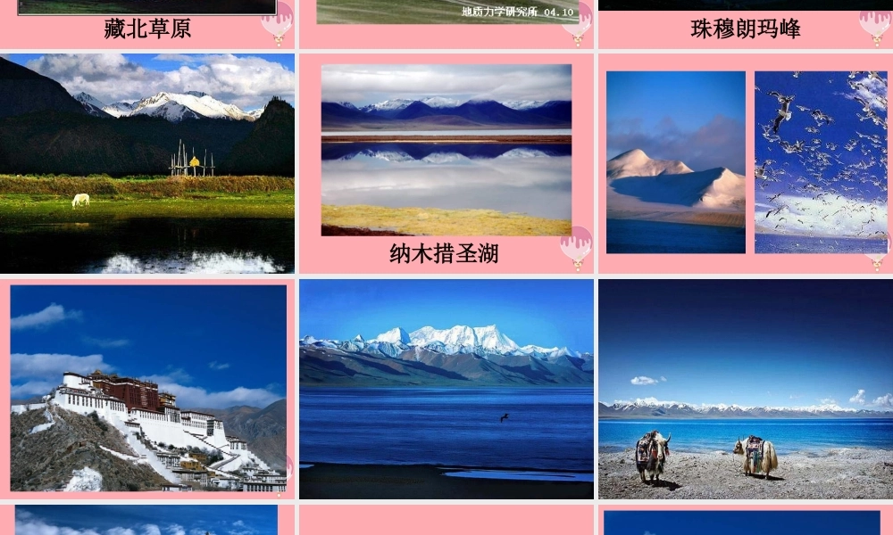 三年级语文上册 第二单元 西藏高原课件2 西师大版-西师大版小学三年级上册语文课件