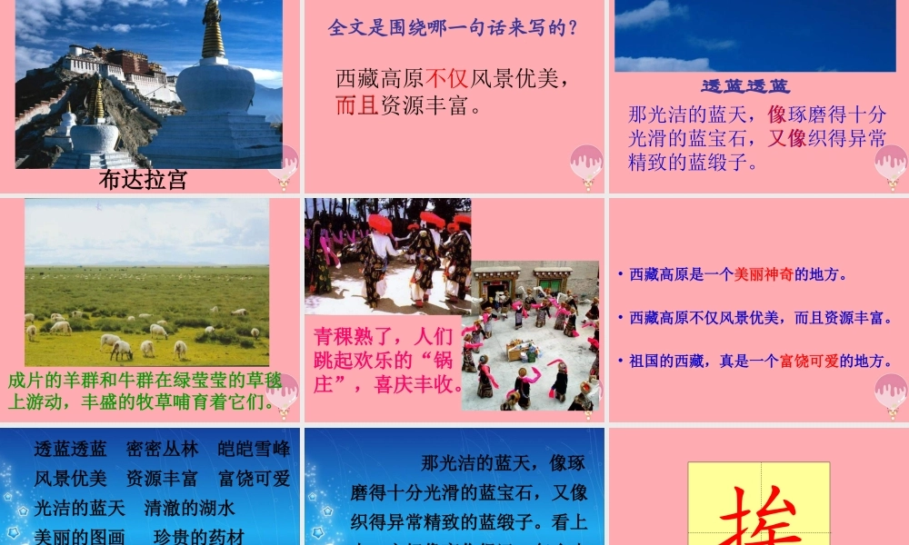 三年级语文上册 第二单元 西藏高原课件2 西师大版-西师大版小学三年级上册语文课件