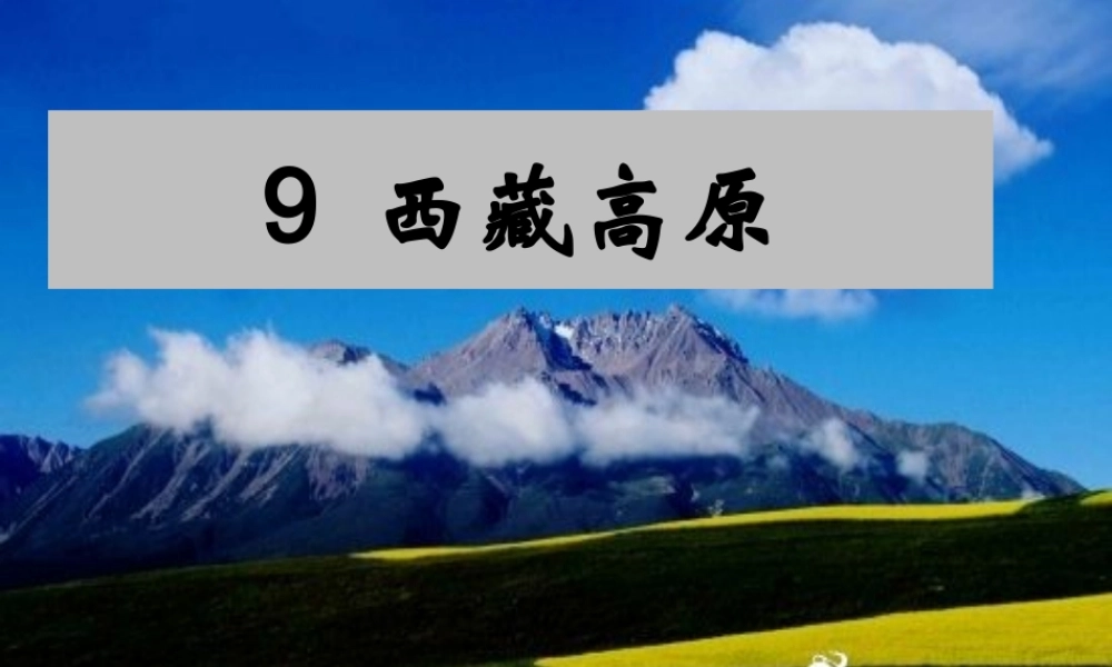 三年级语文上册 第二单元 西藏高原课件3 西师大版-西师大版小学三年级上册语文课件