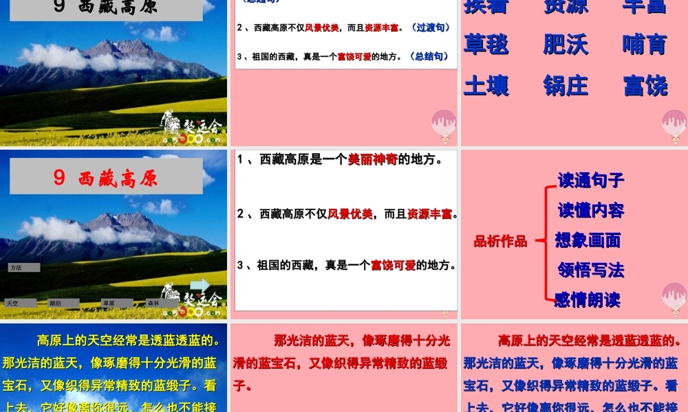 三年级语文上册 第二单元 西藏高原课件3 西师大版-西师大版小学三年级上册语文课件