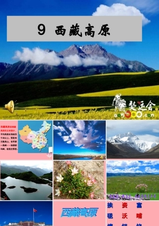 三年级语文上册 第二单元 西藏高原课件3 西师大版-西师大版小学三年级上册语文课件