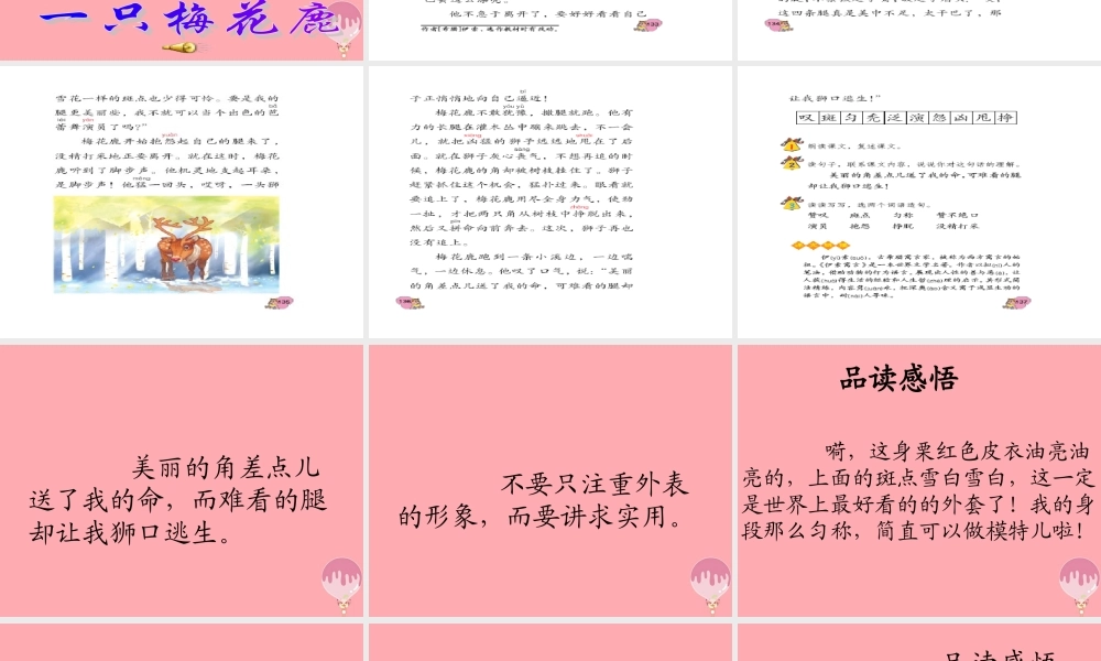 三年级语文上册 第六单元 一只梅花鹿课件1 西师大版-西师大版小学三年级上册语文课件