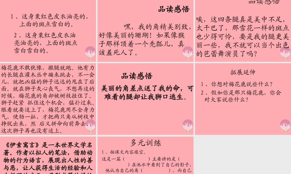 三年级语文上册 第六单元 一只梅花鹿课件1 西师大版-西师大版小学三年级上册语文课件