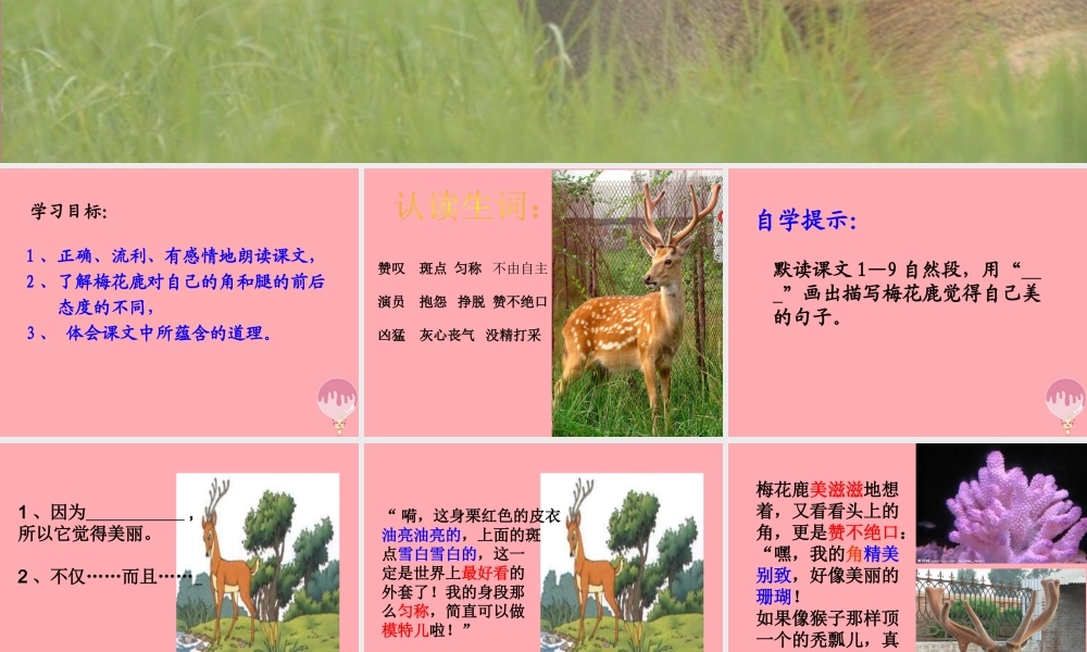 三年级语文上册 第六单元 一只梅花鹿课件2 西师大版-西师大版小学三年级上册语文课件