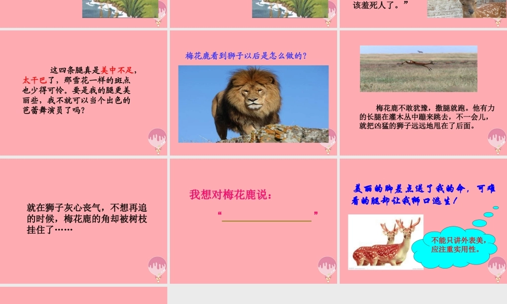 三年级语文上册 第六单元 一只梅花鹿课件2 西师大版-西师大版小学三年级上册语文课件