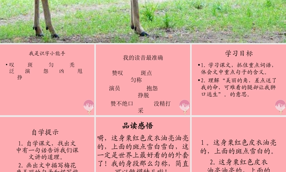 三年级语文上册 第六单元 一只梅花鹿课件3 西师大版-西师大版小学三年级上册语文课件