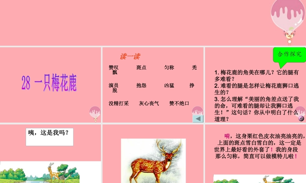 三年级语文上册 第六单元 一只梅花鹿课件4 西师大版-西师大版小学三年级上册语文课件