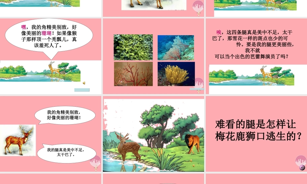 三年级语文上册 第六单元 一只梅花鹿课件4 西师大版-西师大版小学三年级上册语文课件