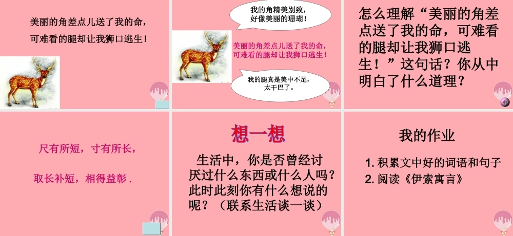 三年级语文上册 第六单元 一只梅花鹿课件4 西师大版-西师大版小学三年级上册语文课件