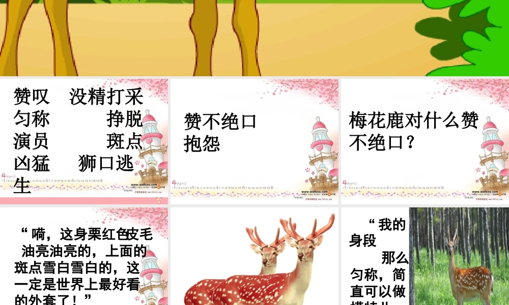 三年级语文上册 第六单元 一只梅花鹿课件5 西师大版-西师大版小学三年级上册语文课件