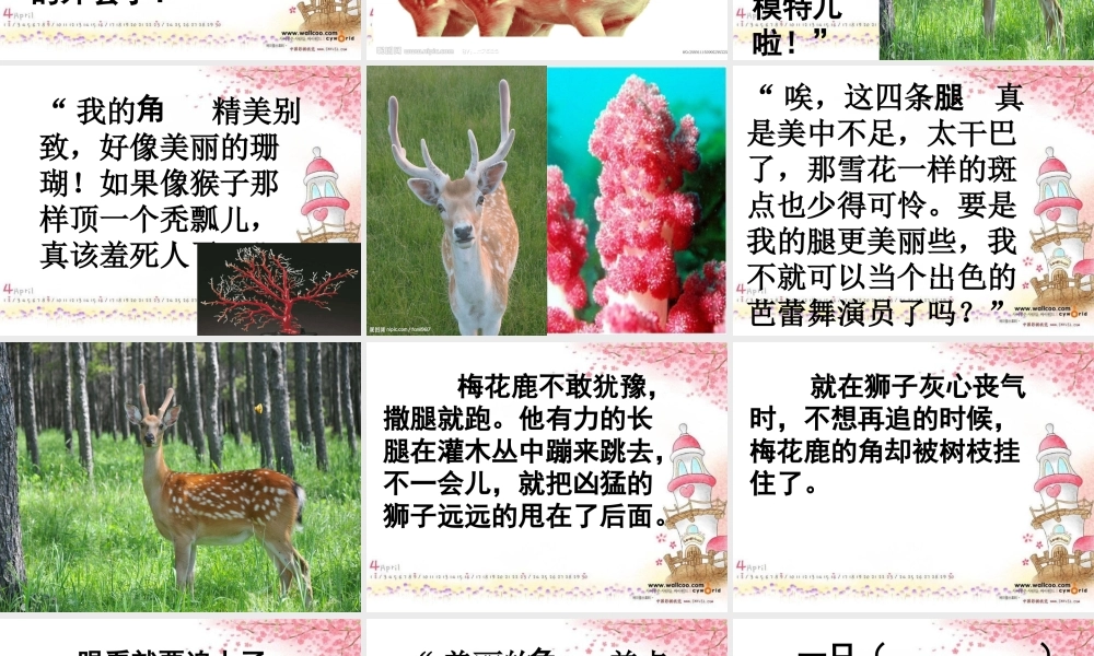 三年级语文上册 第六单元 一只梅花鹿课件5 西师大版-西师大版小学三年级上册语文课件