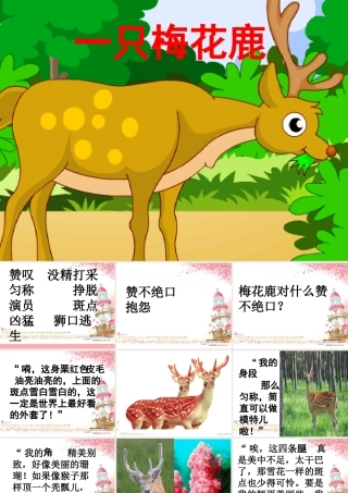 三年级语文上册 第六单元 一只梅花鹿课件5 西师大版-西师大版小学三年级上册语文课件