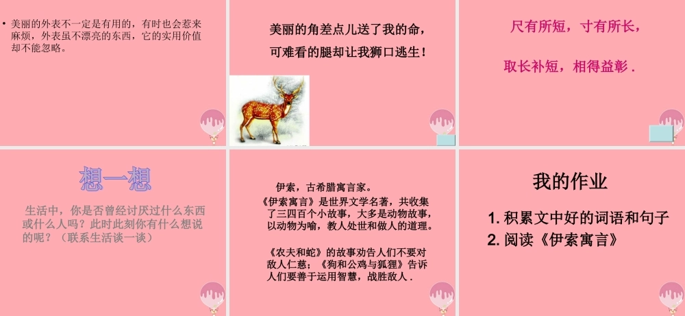 三年级语文上册 第六单元 一只梅花鹿课件6 西师大版-西师大版小学三年级上册语文课件