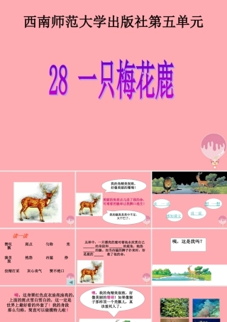 三年级语文上册 第六单元 一只梅花鹿课件6 西师大版-西师大版小学三年级上册语文课件