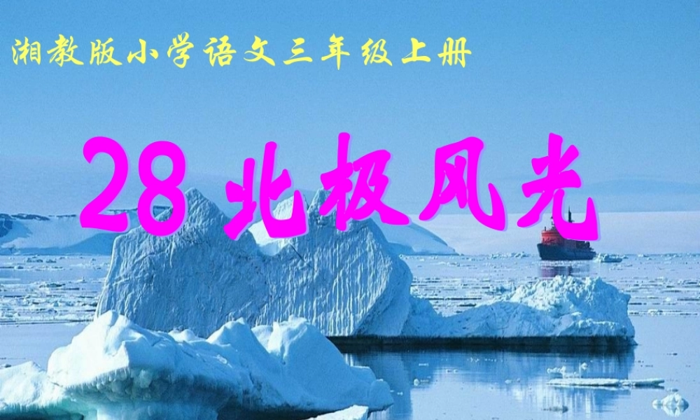 三年级语文上册 第八单元 北极风光课件2 湘教版-湘教版小学三年级上册语文课件