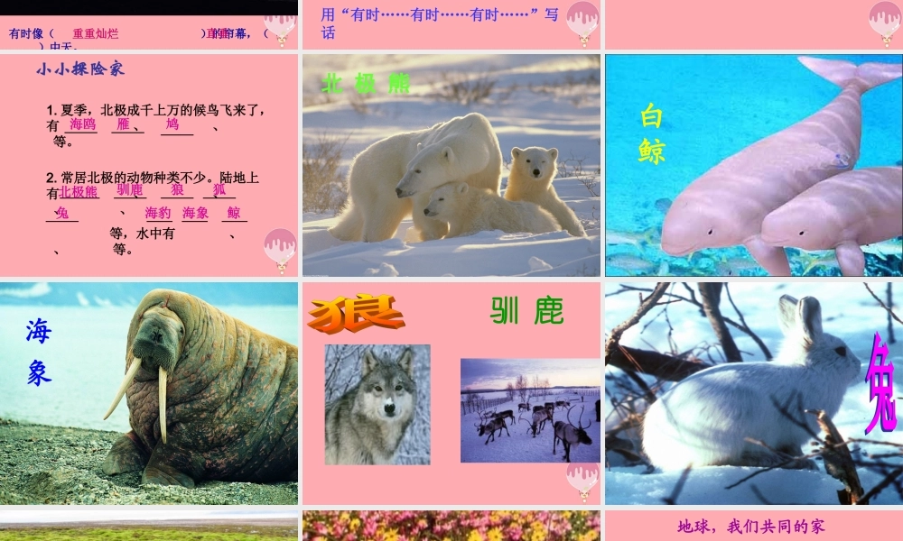 三年级语文上册 第八单元 北极风光课件2 湘教版-湘教版小学三年级上册语文课件