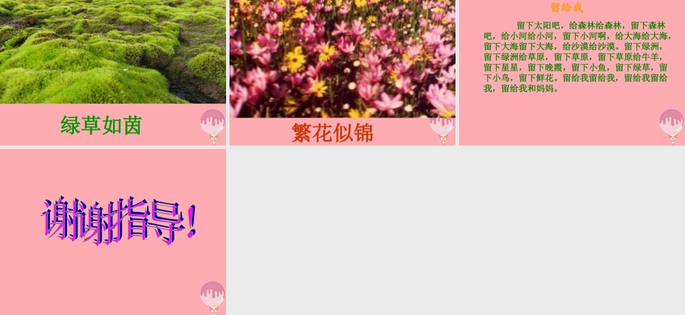 三年级语文上册 第八单元 北极风光课件2 湘教版-湘教版小学三年级上册语文课件