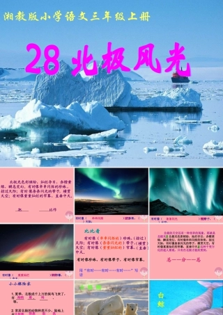 三年级语文上册 第八单元 北极风光课件2 湘教版-湘教版小学三年级上册语文课件