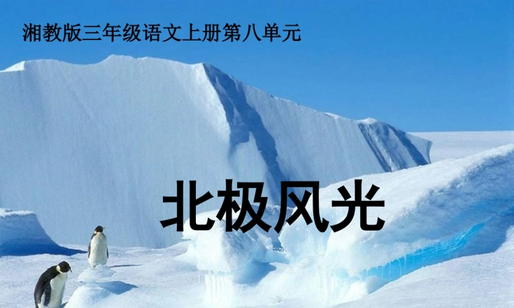 三年级语文上册 第八单元 北极风光课件3 湘教版-湘教版小学三年级上册语文课件