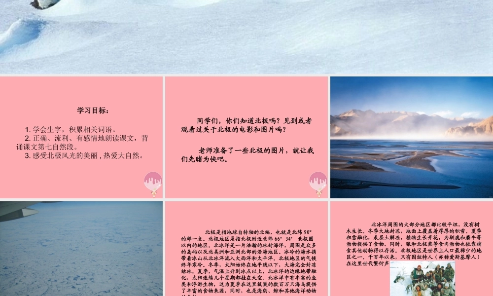 三年级语文上册 第八单元 北极风光课件3 湘教版-湘教版小学三年级上册语文课件