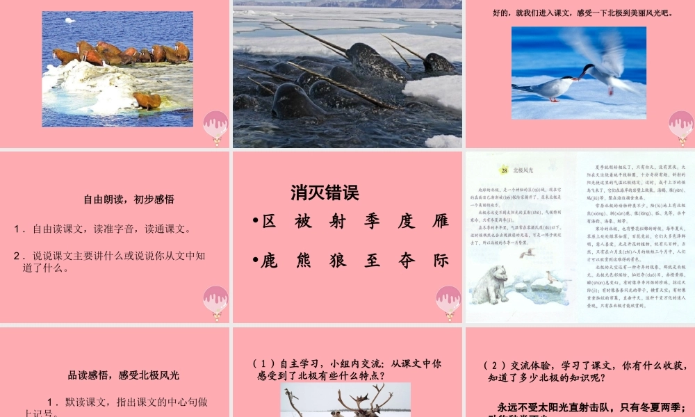 三年级语文上册 第八单元 北极风光课件3 湘教版-湘教版小学三年级上册语文课件