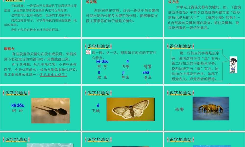 三年级语文上册 第六单元 语文园地六课件1 新人教版-新人教版小学三年级上册语文课件